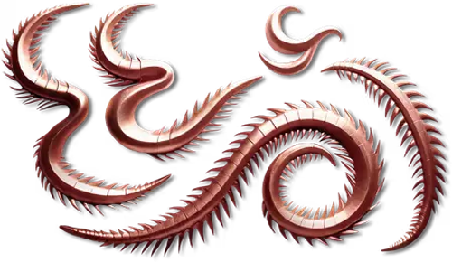 Centipede