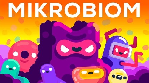 Épisode 12