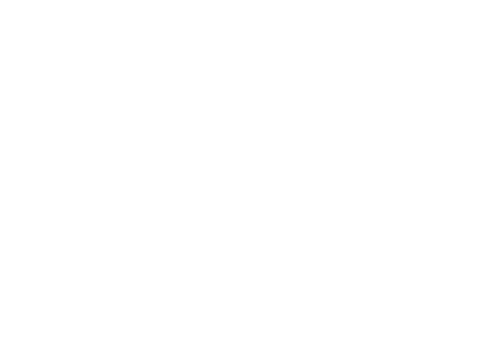 The Teacher