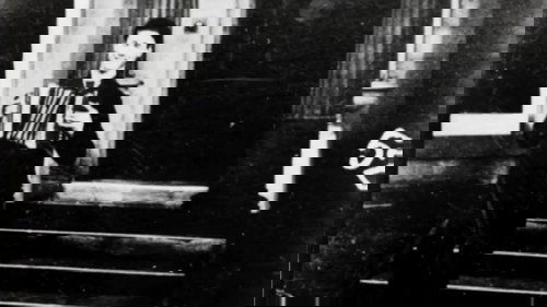 Accordion Player Accordion Player