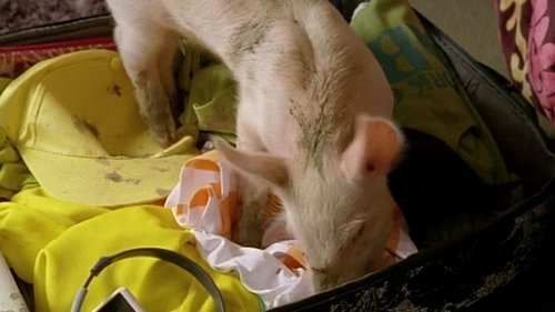 Image de l'épisode 7