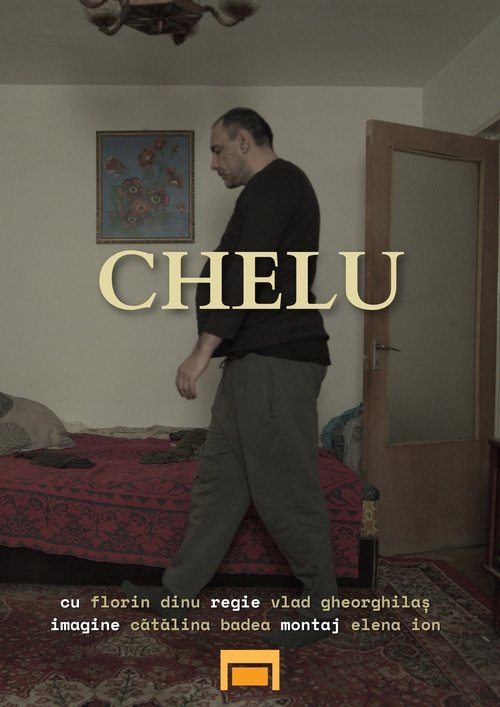 Poster image du film CHELU CHELU