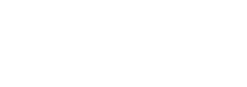 Orphan Black: Echoes