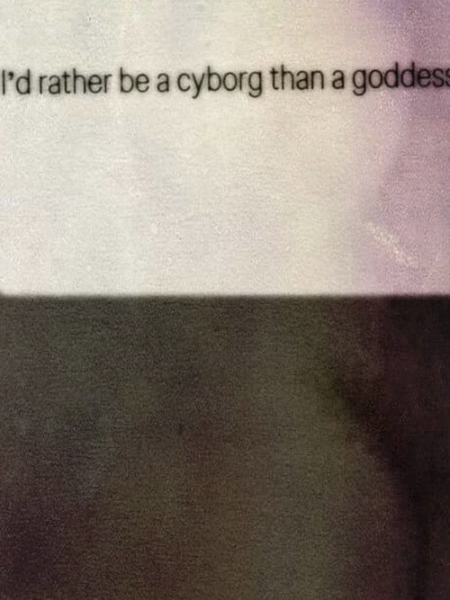 I’d rather be a cyborg than a goddess