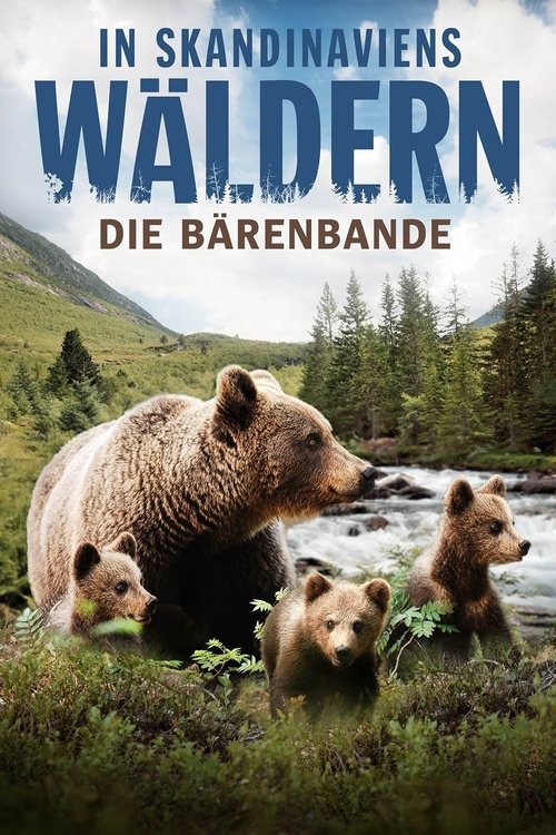 In Skandinaviens Wäldern - Die Bärenbande