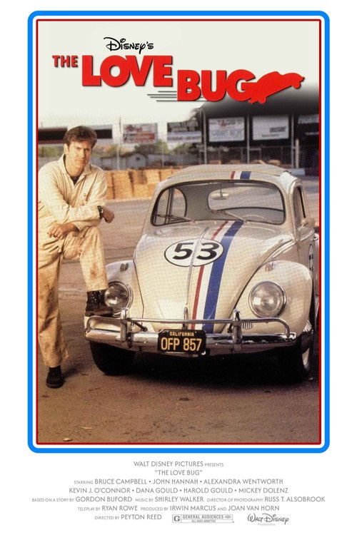The Love Bug poster