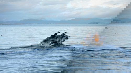 Poster della serie Port Protection Alaska