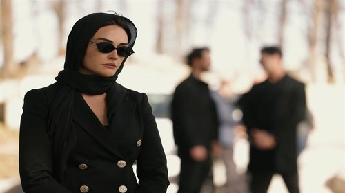 Image de l'épisode 7