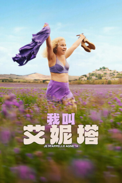 我叫艾妮塔 - 剧情片 (2026) 海报