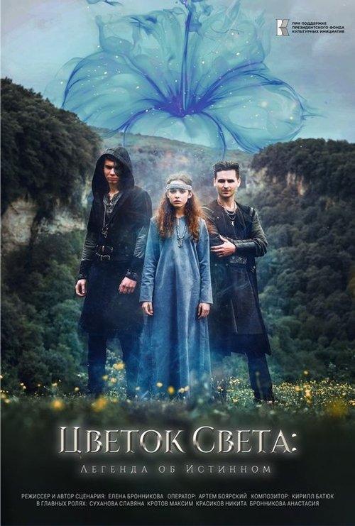 Цветок света poster
