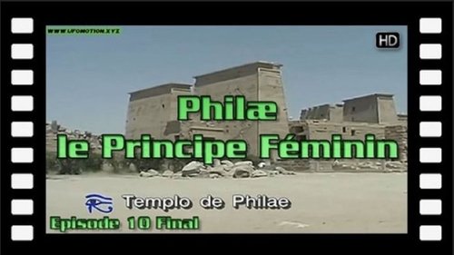 Episode 10
