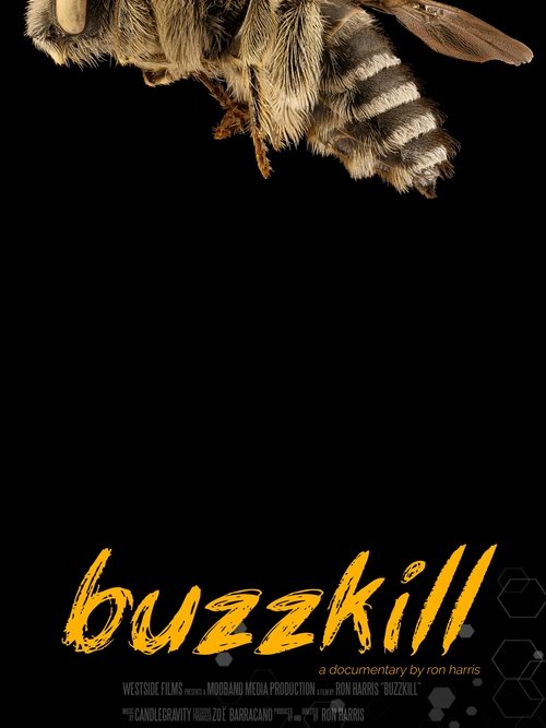 Buzzkill poster