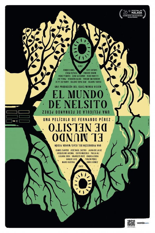 Nelsito's World poster