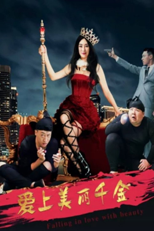 爱上美丽千金 poster
