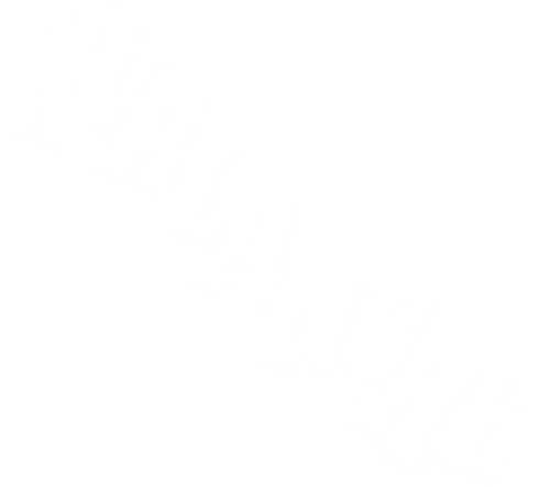 Avalanche