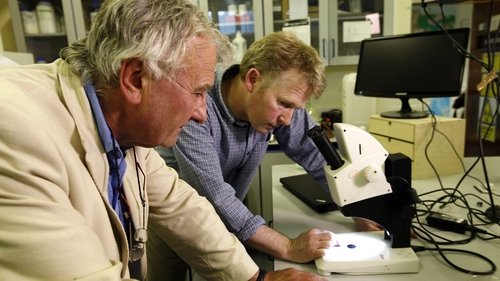 Image de l'épisode 1