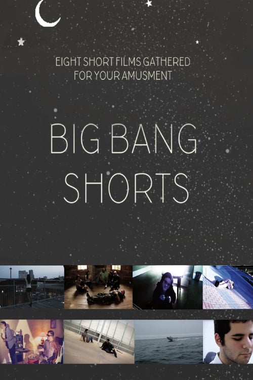 Big Bang Shorts movie poster player