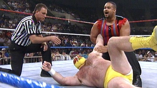 Poster della serie WWF Superstars