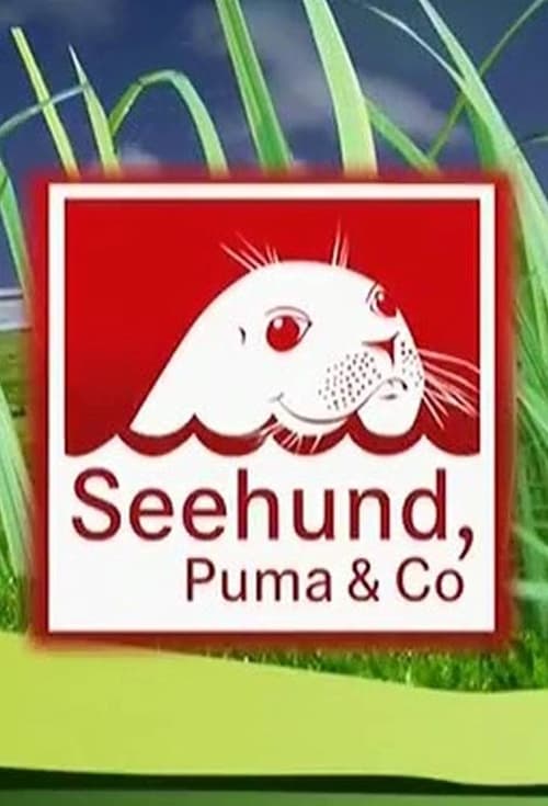 Poster Seehund, Puma & Co.
