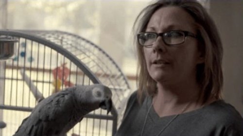 Image de l'épisode 1