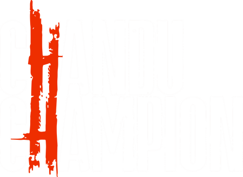 चंदू चैंपियन