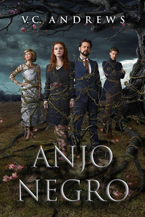 Pôster de Anjo Negro