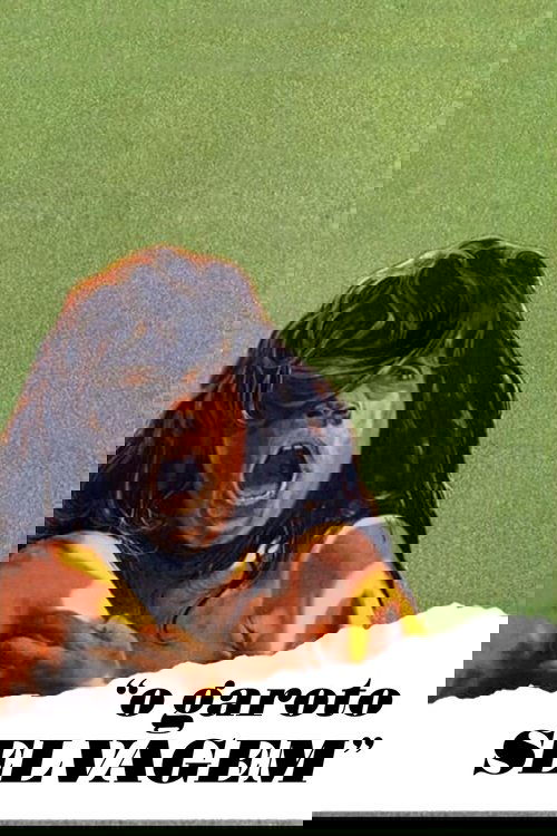 Pôster de O Garoto Selvagem