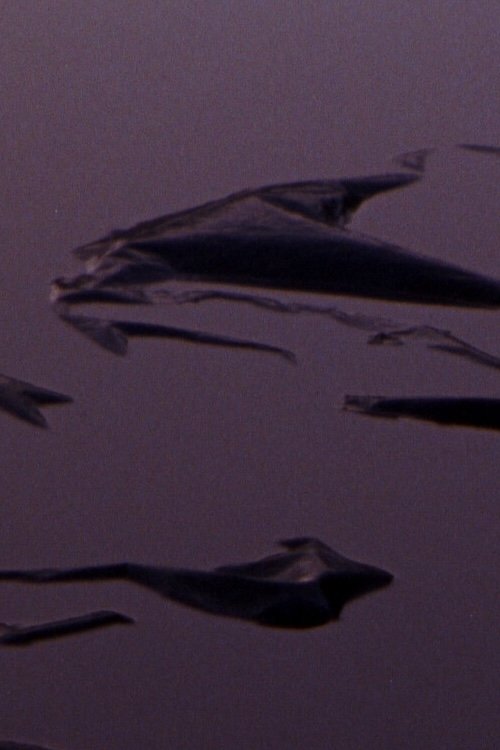 Plastic Aortas