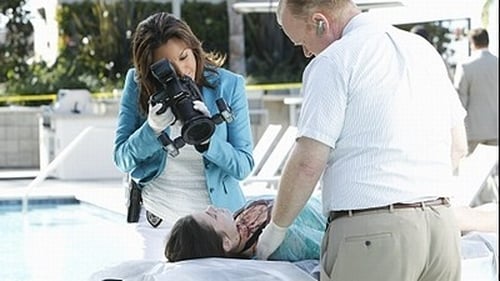 Poster della serie CSI: Miami