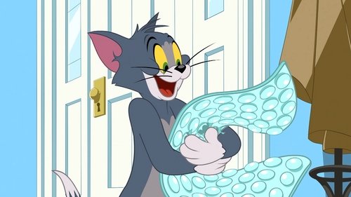 Poster della serie The Tom and Jerry Show