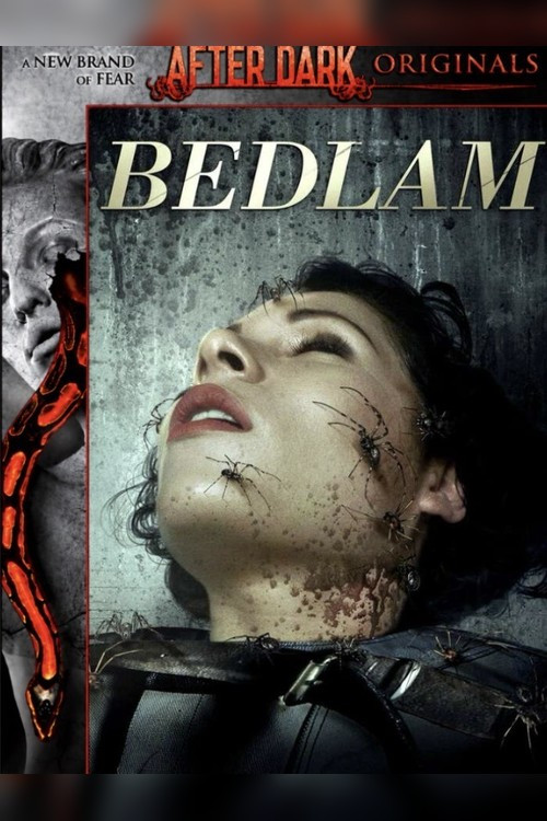 Affiche de Bedlam