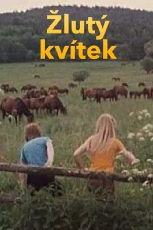 Zlutý kvítek