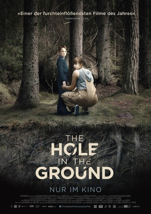 The Hole in the Ground 2019