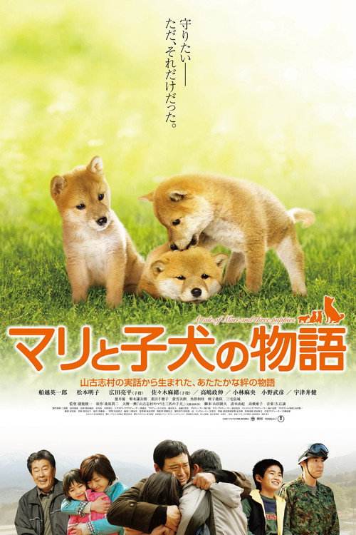 A Tale of Mari and Three Puppies
