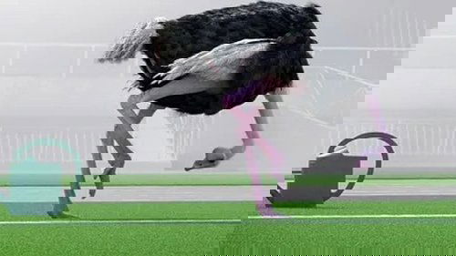 Image de l'épisode 10