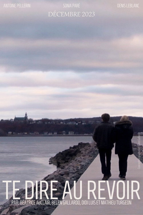 Te dire au revoir