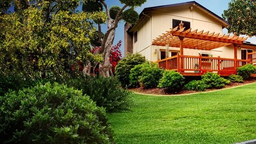 Curb Appeal Xtreme