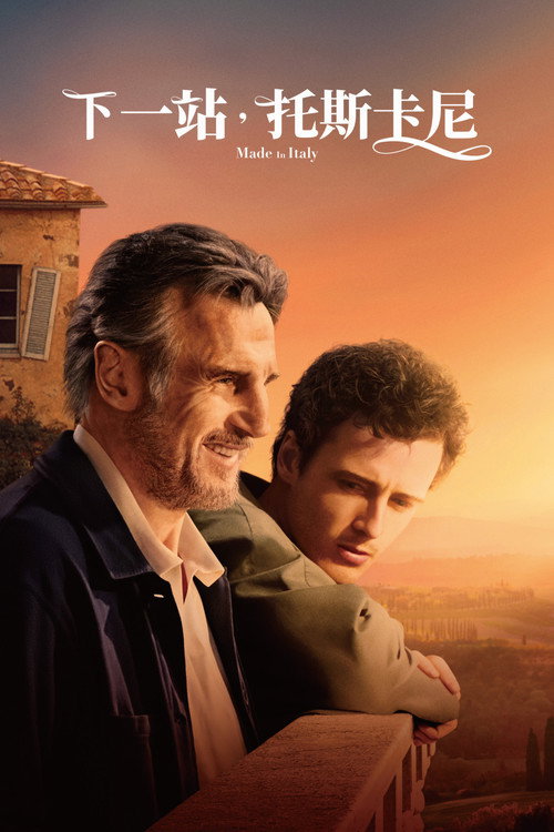 Made in Italy poster