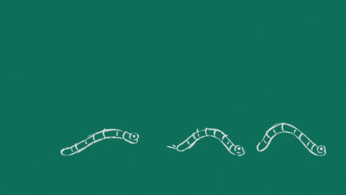 Image de l'épisode 55