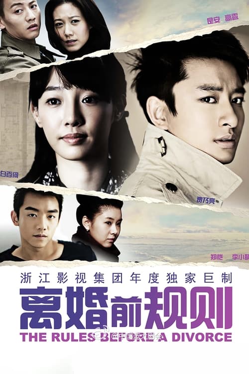 离婚前规则 (2012)