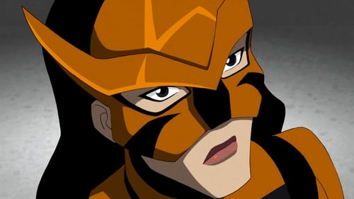 Young Justice: 2×13