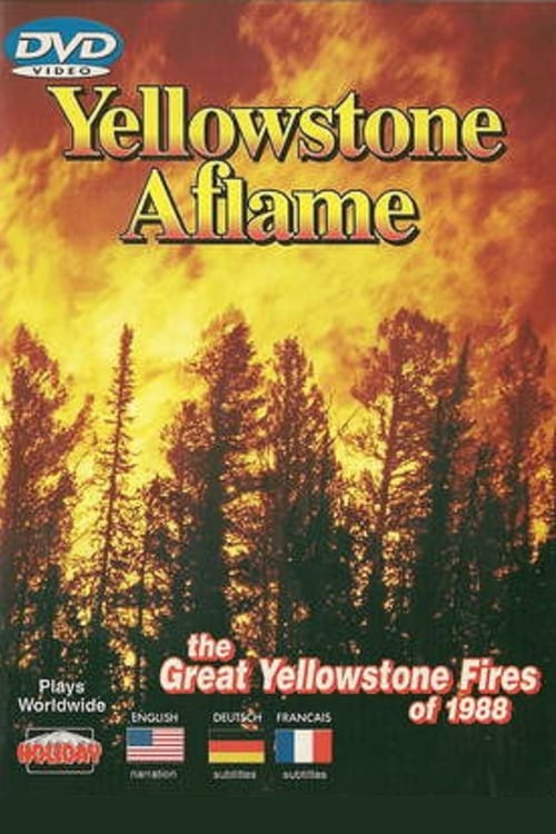 Yellowstone Aflame 1989