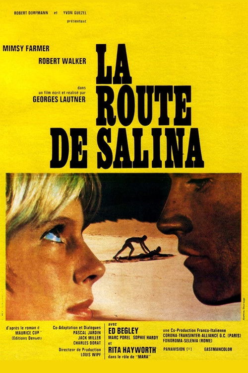 Road to Salina poster