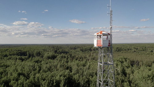 Fire Tower Backdrop Blur