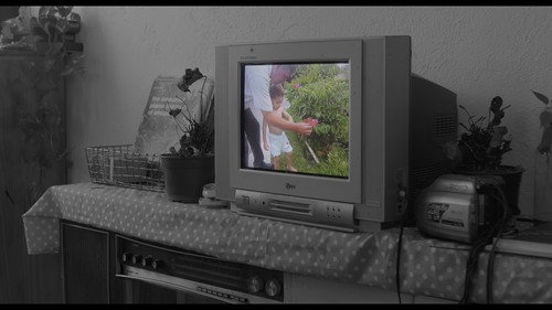 Bugambilia - imagem 1