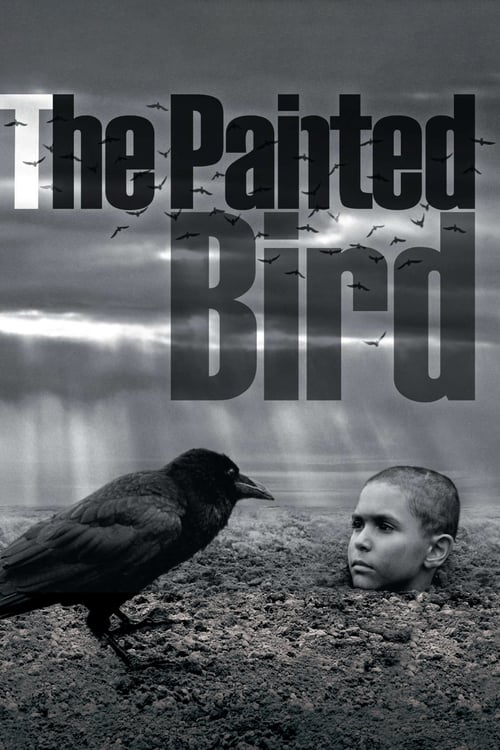 Grootschalige poster van The Painted Bird