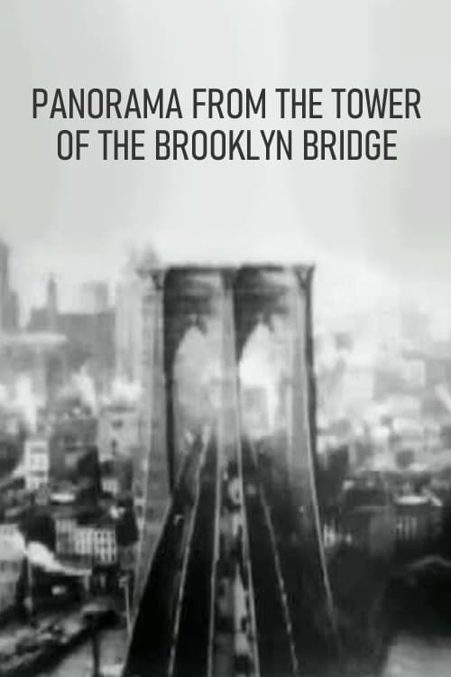 Panorama from the Tower of the Brooklyn Bridge (1899) poster