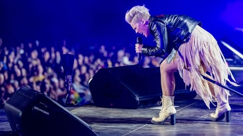 P!NK：我所知道的一切