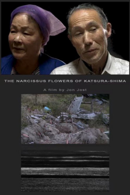 The Narcissus Flowers of Katsura-shima still 2