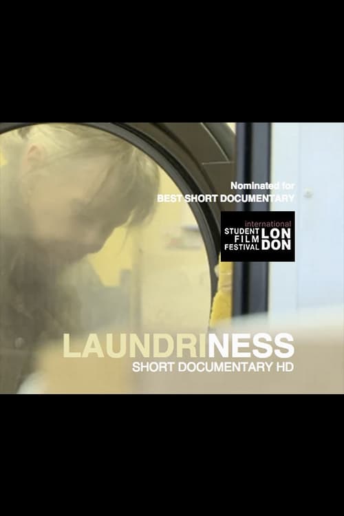 Laundriness (2011) poster